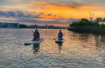 Sunrise Paddle Boarding