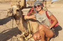 3 Hours Safari By ATV Quad ( Marsa Alam )