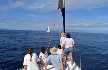 Los Gigantes Clifs Small-Group Sail Tour with Lunch