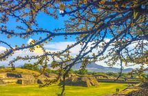 Private Tour Teotihuacan Pyramids and Guadalupe Shrine