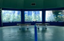 Guided Tour of Coral World Ocean Park & Happy Hour