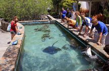 Guided Tour of Coral World Ocean Park & Happy Hour