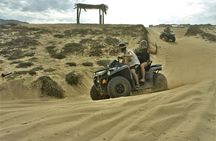 Los Cabos Beach & Desert Tour in Automatic Atv + Tequila Tasting