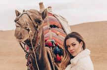 Camel Ride or Horse around the Pyramids