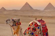 Camel Ride or Horse around the Pyramids