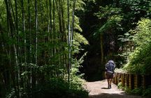 Magome & Tsumago Nakasendo Trail Day Hike with Government-Licensed Guide
