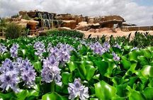 Crocodile Park+ Coco Polizzi including Transportation and entrance