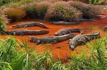 Crocodile Park including Transportation and entrance