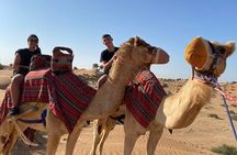 Overnight Desert Safari with BBQ Dinner and Breakfast 