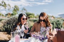 Picnic among lavender