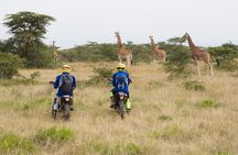 4 days incredible wildlife off-road motorbike tour in Soysambu Conservancy