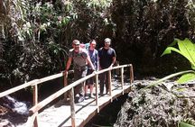 Private Trek 4D/3N Machu Picchu Jungle 