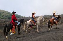 Pacaya Volcano Luxury Horseback Riding Tour