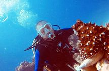 PADI Open Water Diver Course in Hurghada