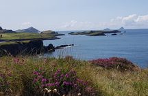 Full-Day Ring of Kerry Tour from Killarney