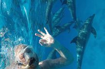 PADI Open Water Diver Course in Hurghada