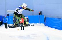 Ski Dubai Snow Plus admission Ticket