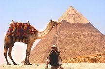 Private Tour to Giza Pyramids and The Egyptian Museum
