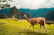Guided full day tour to Machupicchu