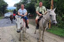  Volcano,Waterfalls,Horses,Hotsprings,Mudbath,Hanging Bridges