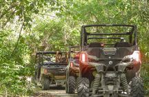 Playa del Carmen Buggy Tour with Cenote Swim and Mayan Village Visit