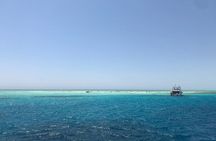 Marsa Mubarak snorkeling with dugong and turtles 