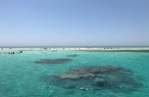Marsa Mubarak snorkeling with dugong and turtles 