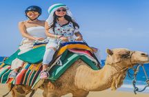 Camel Ride & ATV Combo in Migriño, Mexico