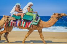 Camel Ride & ATV Combo in Migriño, Mexico