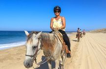 2 hours Horseback Riding & Dune Buggy Combo at Migriño Beach