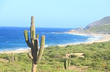 ATV Ride & Dune Buggy Combo at Mirgriño Beach