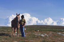 Horseback riding 