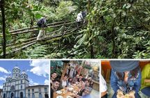 Cocora Valley, Salento and Filandia Full-Day Private Tour