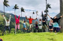 Cocora Valley, Salento and Filandia Full-Day Private Tour