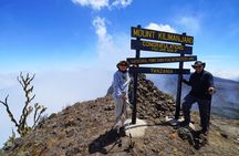 Mt. Kilimanjaro: Shira plateau to Cathedral point 3872m Day hike