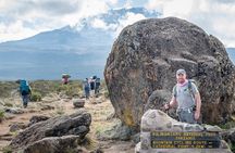 Kilimanjaro Day Hike : Shira Plateau to Cathedral Point (3,870m)