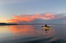 Yellowstone Lake & Hot Springs / 3 Hour Morning or Twilight Tour 
