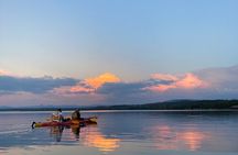 Yellowstone Lake & Hot Springs / 3 Hour Morning or Twilight Tour 