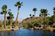 Private Fayyum Oasis Over day from Cairo, Egypt