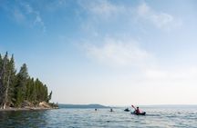 Early Morning Picnic Paddle (Lunch included)