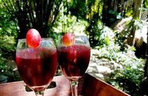 Tropical Spa Experience in Honduras