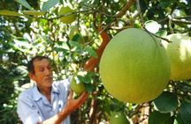 Hue: Thuy Bieu Village Cycling Half-day Tour