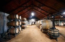 Tyrrell's Vat 1 Vertical Wine Tasting in Pokolbin, NSW