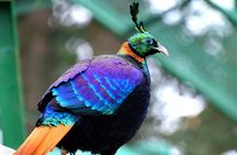 Manali Tour Package