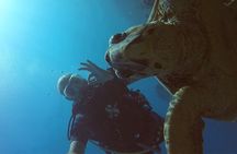 PADI Advanced Diving Course in Hurghada - Learn Scuba Diving