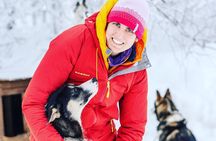 Small Group Wilderness Husky Sledding 2h from Tromsø (car needed)