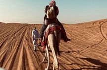Exclusive Evening Desert Safari