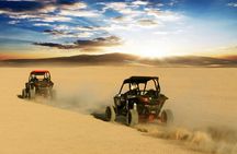Buggy Car Safari Tour & Camel Ride With Transfer :Marsa Alam