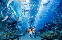 Mall Aquarium and Underwater Zoo