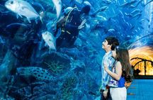 Mall Aquarium and Underwater Zoo